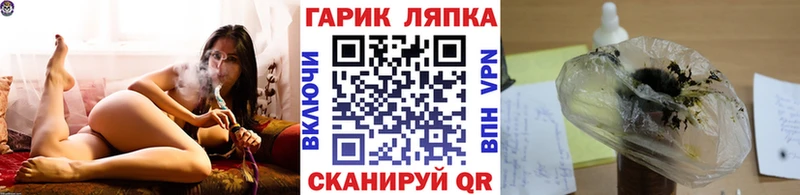 гидра ТОР  Сокол  ГАШ гарик  купить  цена 